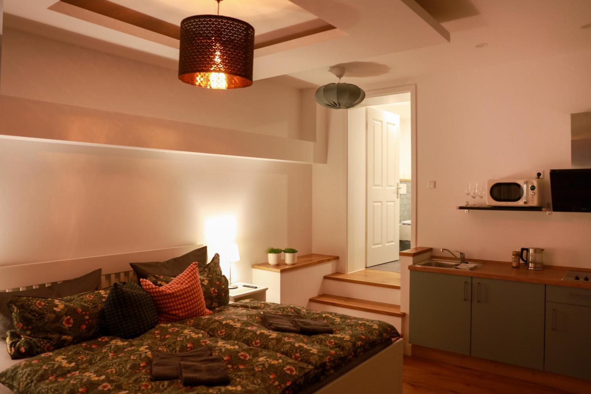 Boutique Hotel Pension Luisengruen Kueche 1Gbs Wlan Netflix Disney Magentatv Chemnitz Esterno foto